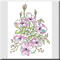 Card 2012